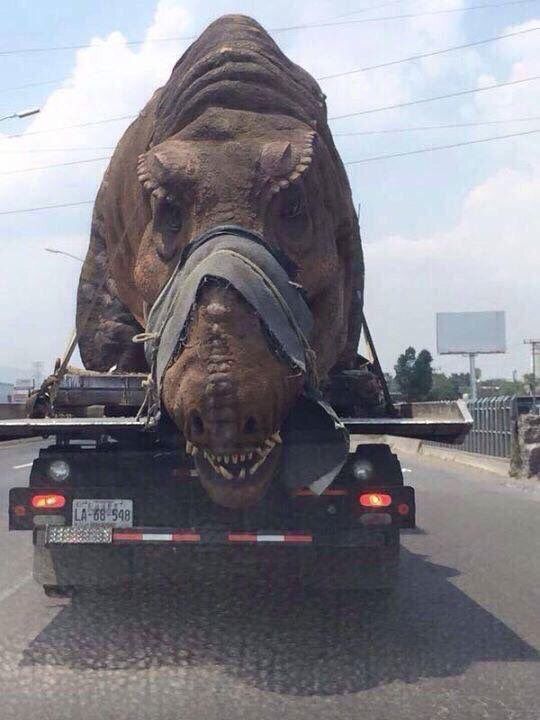 CauseWereGuys's tweet photo. Please say no to animal cruelty. This just rips my heart.. https://t.co/DbJzlBZSij