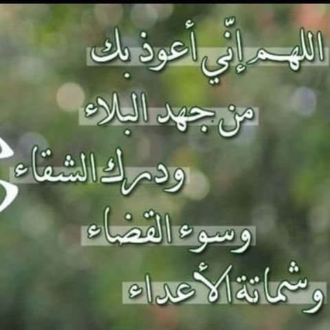 HafezakaL's tweet photo. #قروب_الحسناء_للدعم
#Gp_انيقين_للدعم 
#المعاني_للدعم
#عاشقين_الاتحاد
#قروب_بيت_الاتحاد
#قروب_نمور_اسيا  
#للاتحاد_اجتمعنا https://t.co/Zd0ToBJH3h