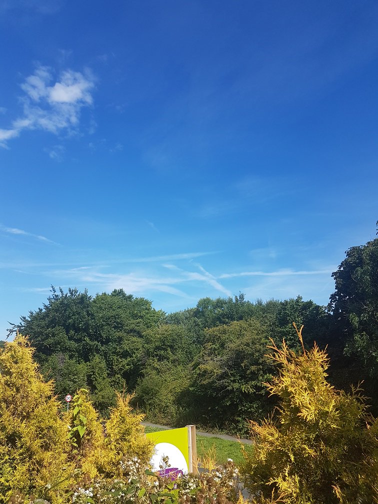 logcabinfactory's tweet image. What a lovely #summer day its going to be in #Sussex today 😀 🌞