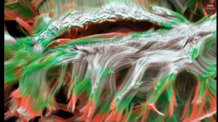 T13's tweet photo. 💥 ¿Cómo es la imagen de las conexiones cerebrales más detallada hasta el momento? @bbcmundo en #T13cl » https://t.co/ECSbOF2kh2 https://t.co/AXzkVnx2Qm
