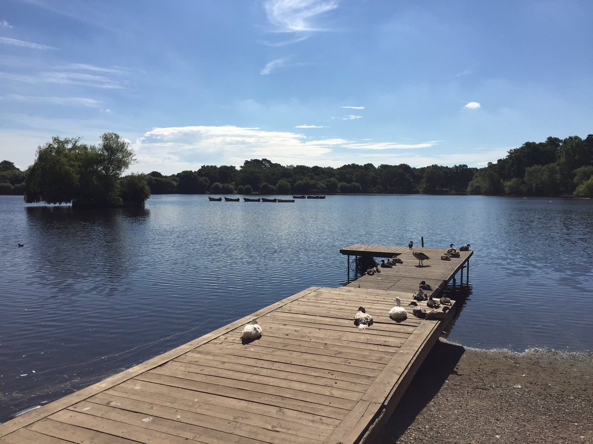 Beautiful day in #Petersfield #Southdowns