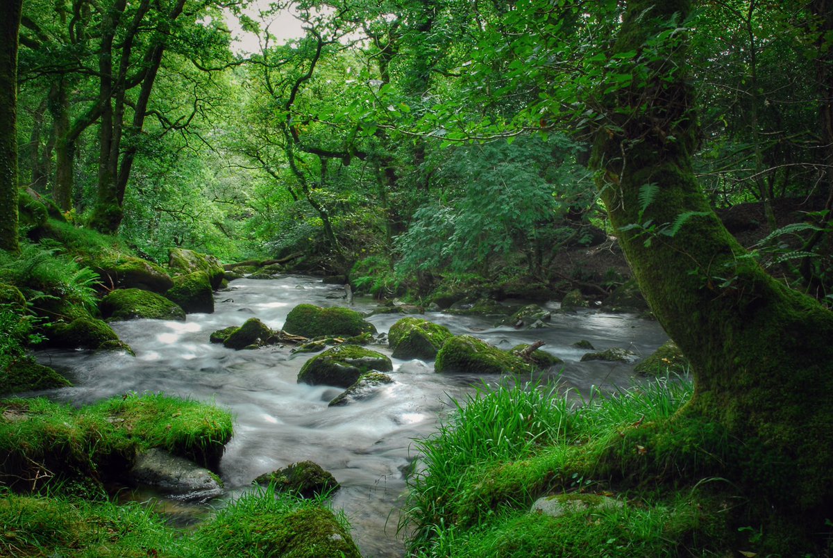 A cool river picture for a hot day, river Plym at Shaugh Prior, #Dartmoor #Devon