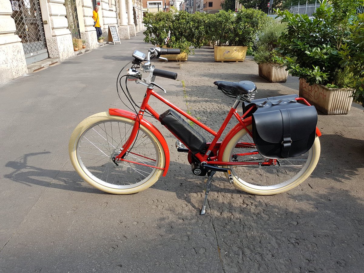 sartori electric bike motor