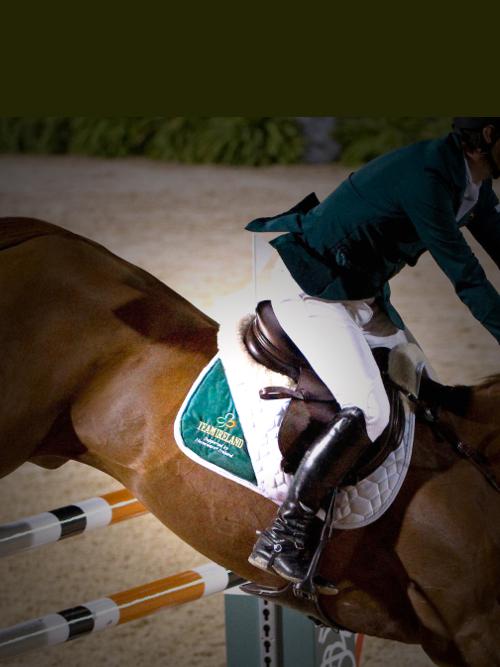TRM® Nutrition | Equine Health tweet media
