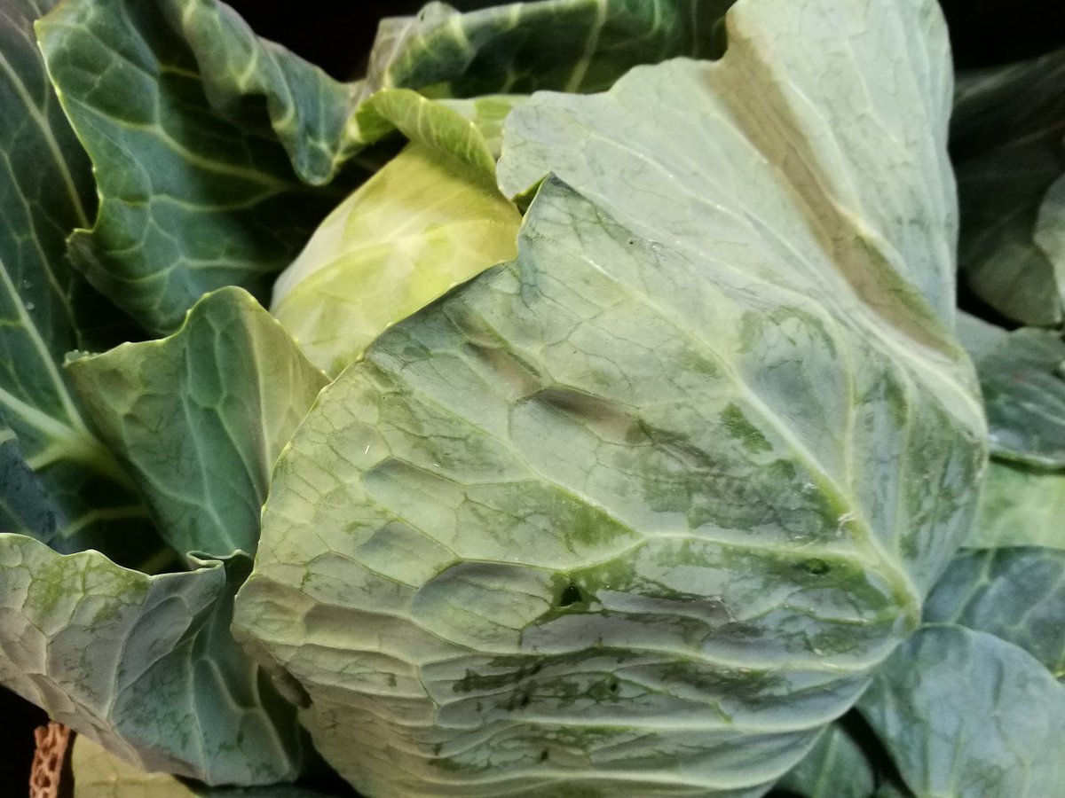 5adayFresh's tweet photo. #cauliflower #romanescocauli #broccoli #primocabbage #englishveg #shoplocal #eathealthy #cookfresh #yourgreengrocer #Stalybridge #Cheshire https://t.co/Q3RtmYhE3z
