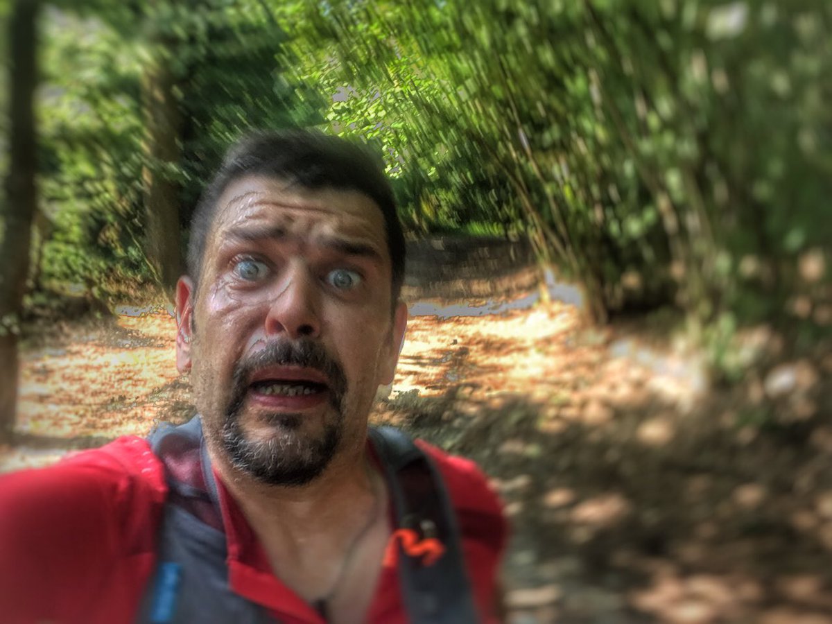 rafzoom's tweet photo. #Montevecchia parco del #curone ..... che umido stamattina ...... https://t.co/MTuMbOJgx2