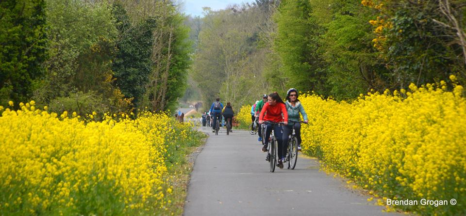 Nothing like the "Waterford Greenway" 45km of pure magic! Walk it or cycle you will be amazed at the scenery #Waterford  <a href="/WaterfordGrnWay/">Waterford Greenway</a>
