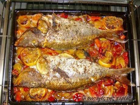cookpadgreece's tweet photo. Συναγρίδα ψημένη στο φούρνο με διάφορα λαχανικά, ένα φαγητό νόστιμο και υγιεινό!  #sinagrida #psari

https://t.co/ZUOR2xWIDF https://t.co/niwtbhrIBH