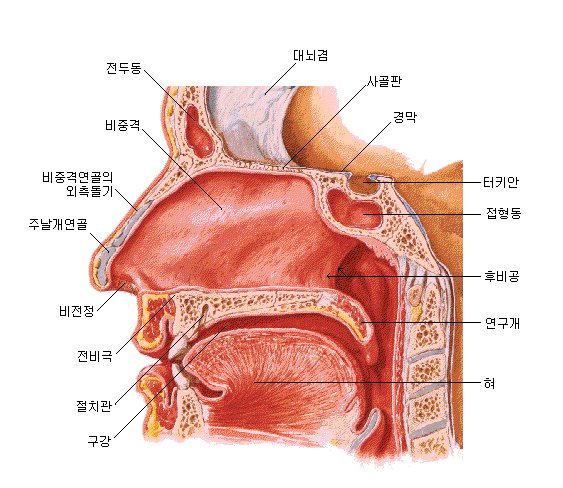 코를 건강하게 지키자 - 히어로클럽
 me2.do/5vAcOPi6