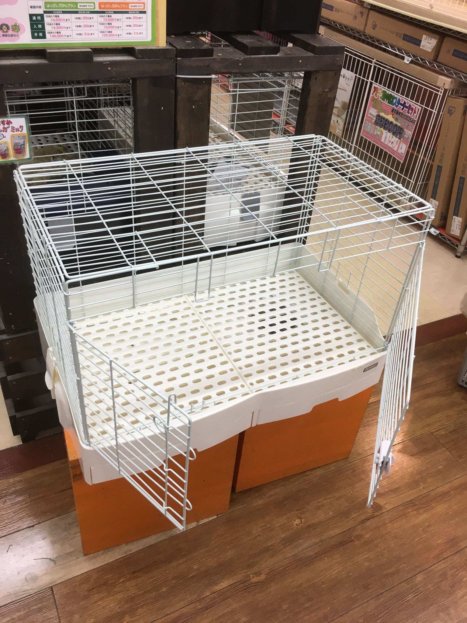 アミーゴ豊中服部店 鳥＆小動物 on X: 