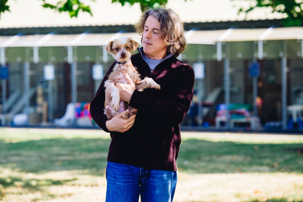 the dog rescuers with alan davies