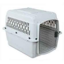 Paws_onCook tweet picture