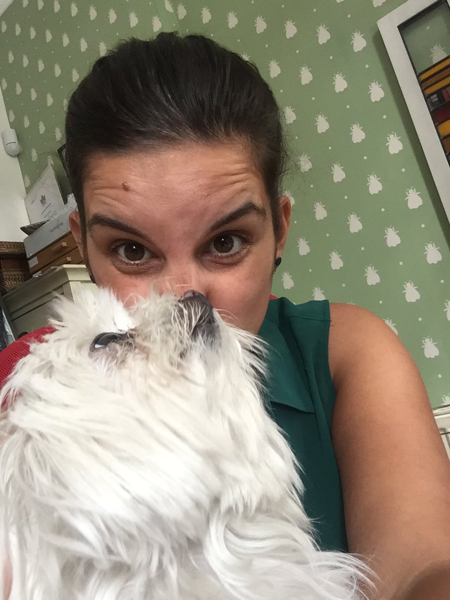 KushComUK's tweet photo. @TheZeinabBadawi -your producer @lucymdoggett is enjoying #BringYourDogToWorkDay at the Kush Communications office. What a way to work! https://t.co/7nrdGc2R45