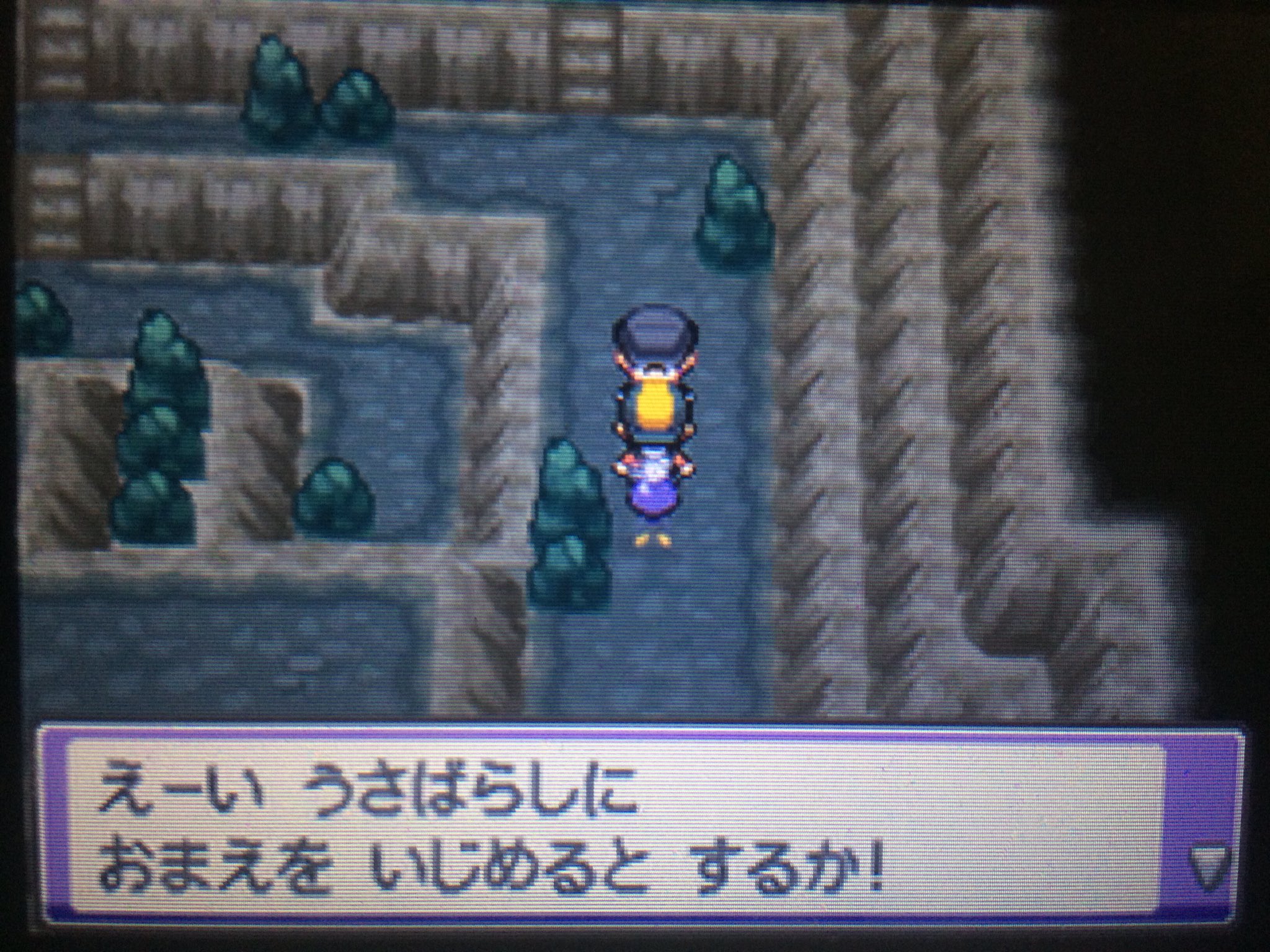 ポケモンハートゴールドフワライド単騎縛り Twitter