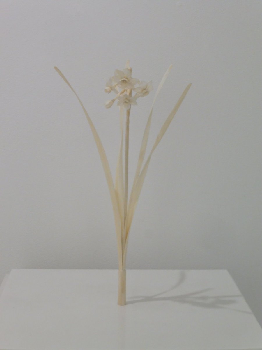 小吹隆文 N Sアートプロジェクトの 親密な他者 田中朝子と橋本雅也の2人展 田中は写真 12本の瓶とインクの立体 壁面 にグラニュー糖を塗った作品など 橋本は鹿の骨で作った花と木彫を展示 T Co Xqgnzin5dj