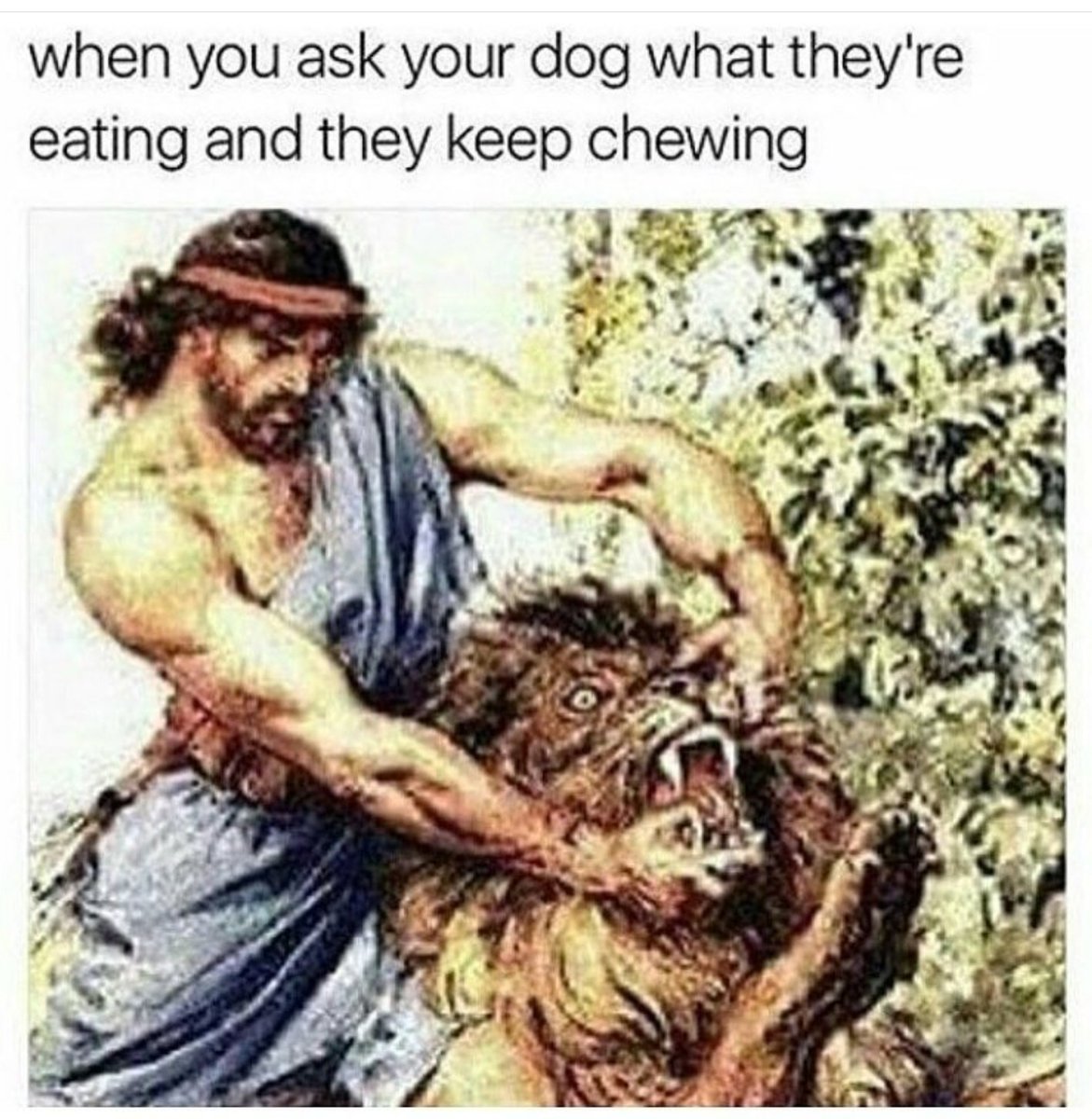 Leesonface's tweet photo. This is actually my life 60% of the time with a one year old terrier! 😂😂 https://t.co/vmJCnueN9s