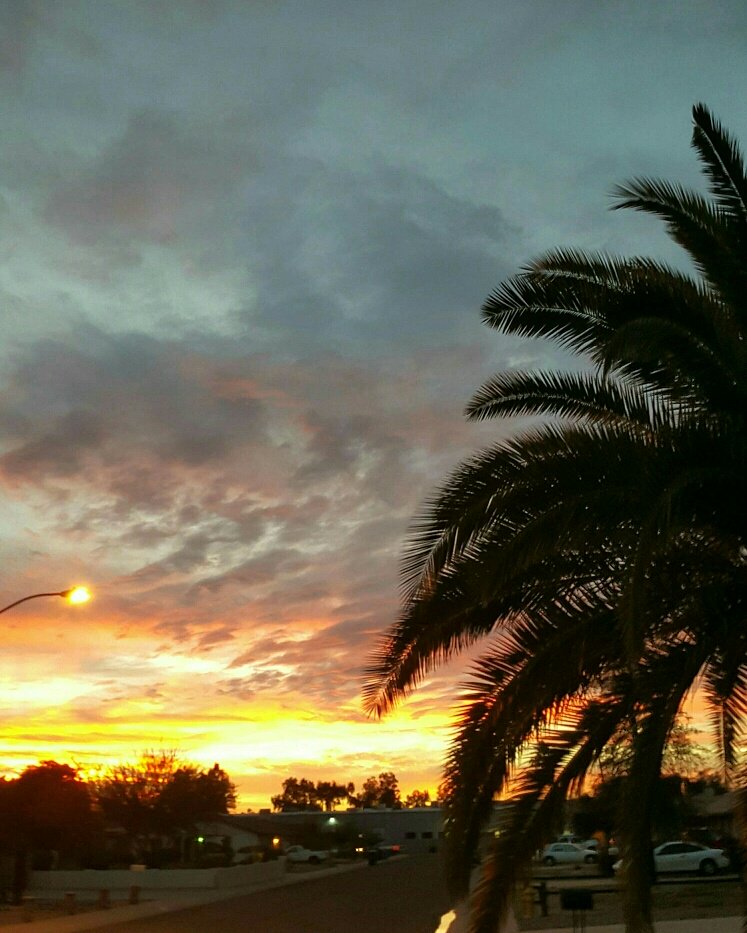 geopeach0726's tweet photo. Hey @moodyone07 @atrileaf thanks for being top new followers this week!Appreciated:) ➡️ Want this for 🆓⁉️ https://t.co/N9PpqMbBae https://t.co/YGDDBUq98I