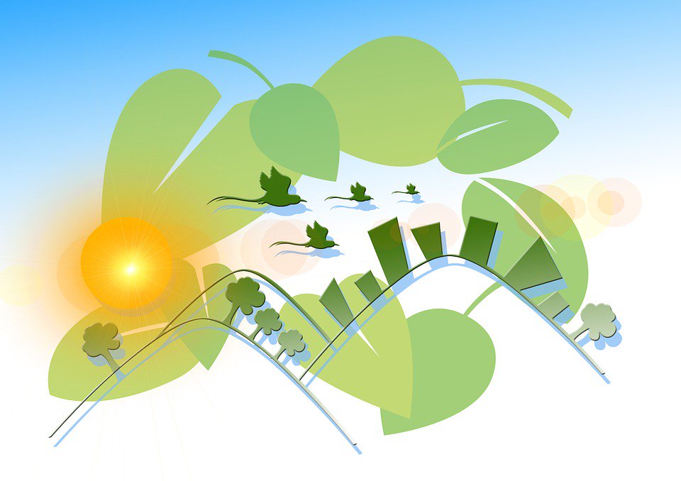 Nature_Washer's tweet photo. Want to reduce your footprint on the planet? Tired of wasting money on laundry detergent and softner? Head over to  https://t.co/6GVAlJD9xp https://t.co/Ntibs5uHKV
