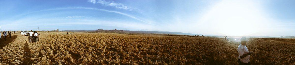 SafaricomPLC's tweet photo. A good evening from Lewa Conservancy as we prepare for #SafaricomMarathon. #YouRunIWin https://t.co/GHMdr46eJm
