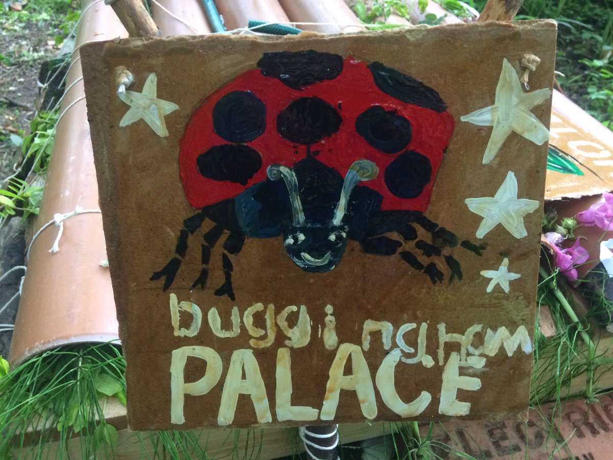 ParagonBath's tweet photo. The finishing touches have been put on Bugging-ham Palace so just waiting for our first guests!! #TPoutdoorlearning https://t.co/Rf96WXqw76