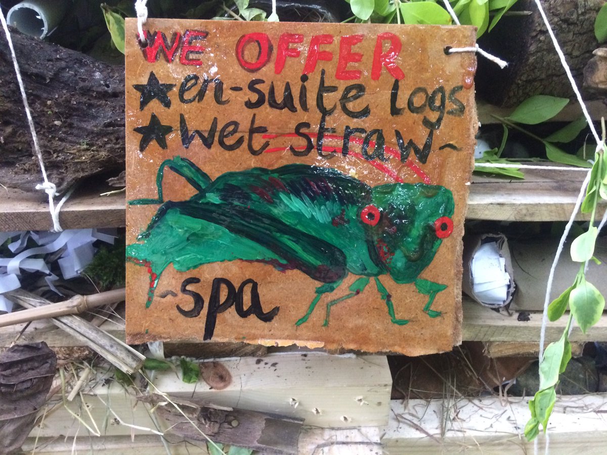ParagonBath's tweet photo. The finishing touches have been put on Bugging-ham Palace so just waiting for our first guests!! #TPoutdoorlearning https://t.co/Rf96WXqw76