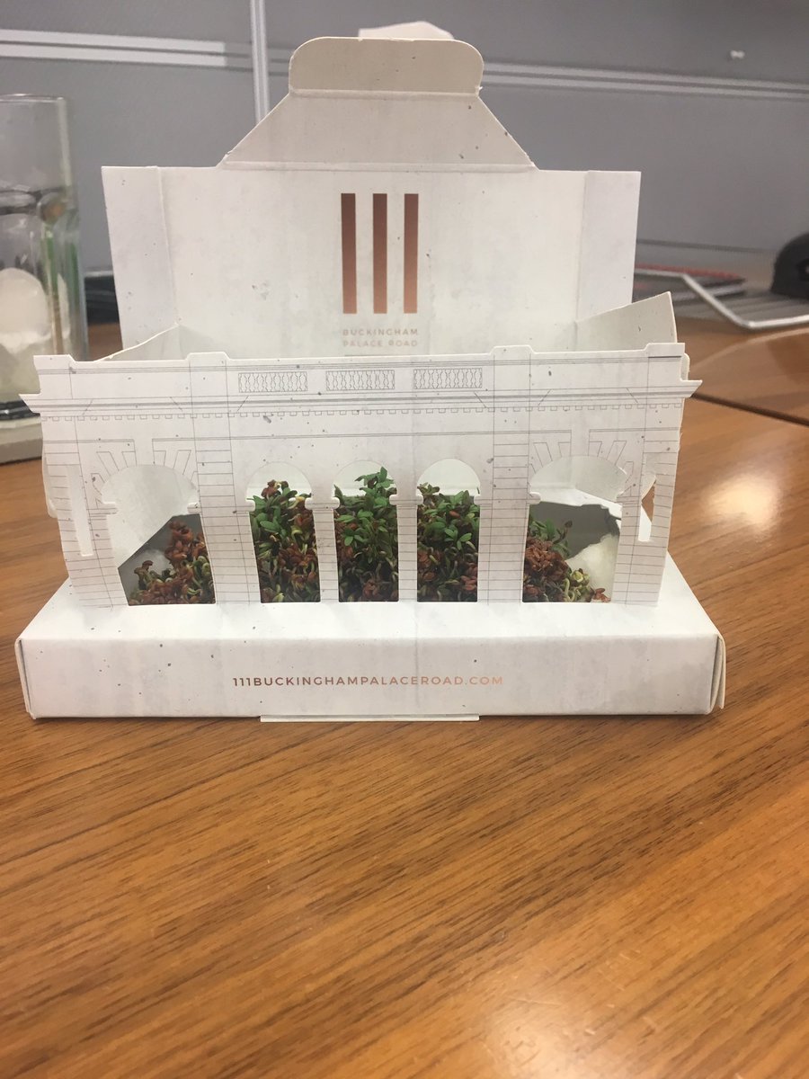 katyacameron2's tweet photo. Slow and steady wins the race @111Bpr  #watercress #111BPR #howdoesyourgardengrow #growgrowgrow #invite https://t.co/aOIufq3pHl
