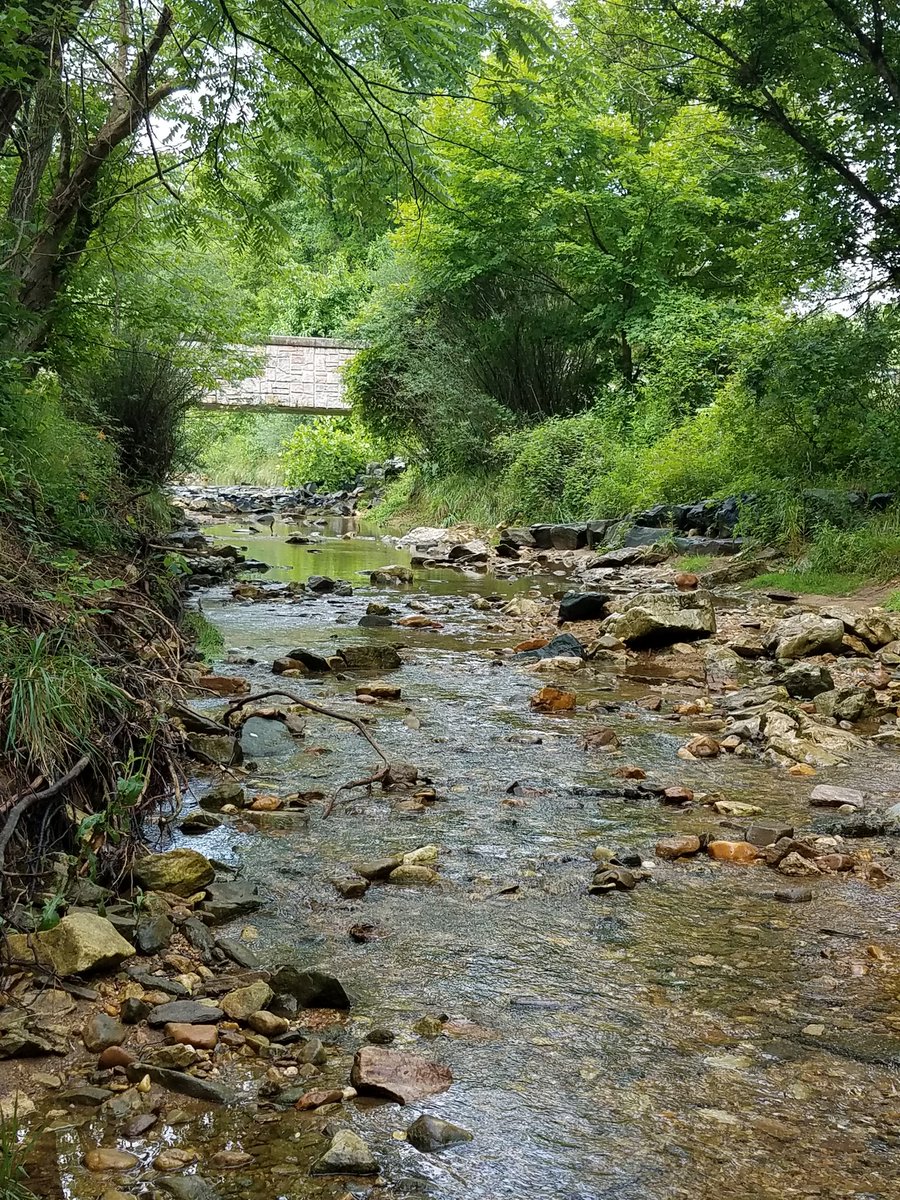 dwntwnjb73's tweet image. How healthy is Mine Bank Run? #askingquestions #analyzingdata #figuringout @BCPSSci @BCPSOutdoorSci