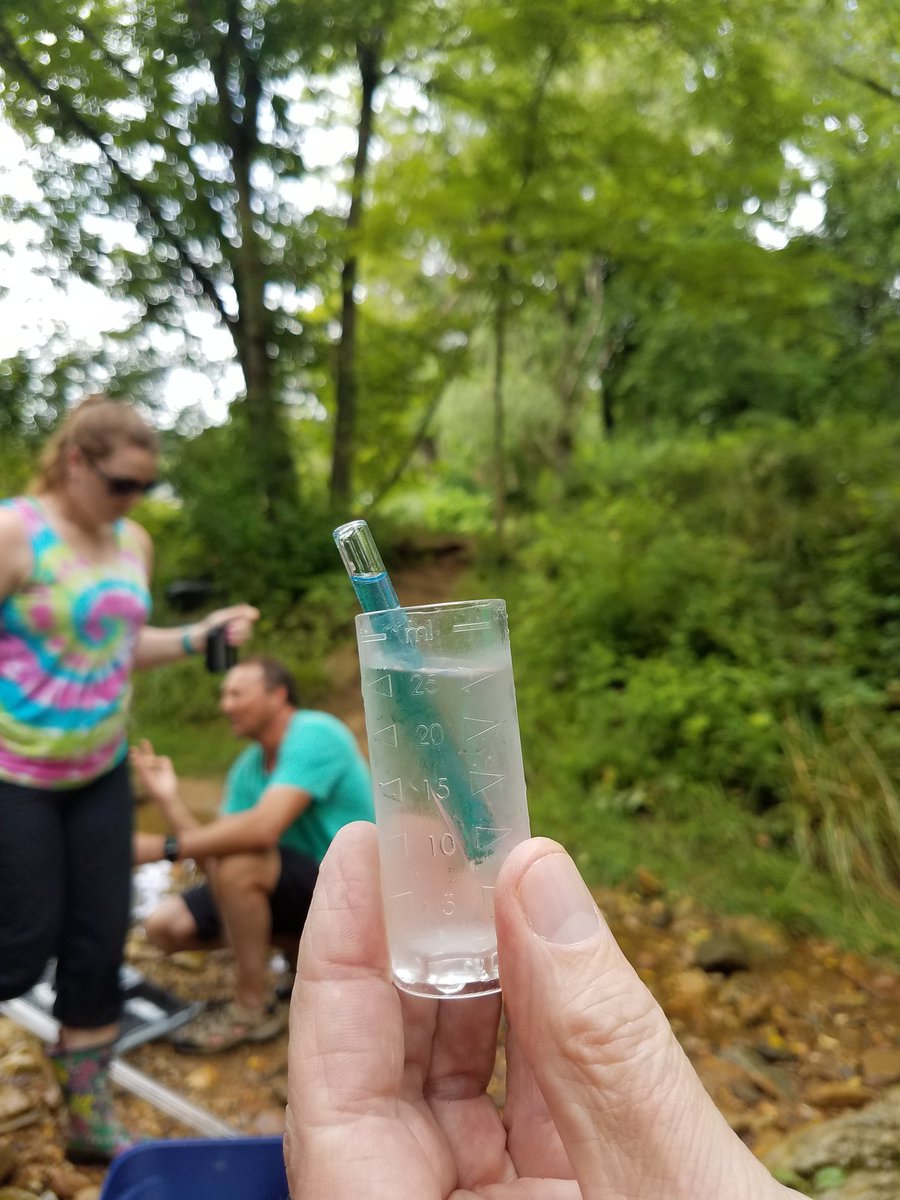 dwntwnjb73's tweet image. How healthy is Mine Bank Run? #askingquestions #analyzingdata #figuringout @BCPSSci @BCPSOutdoorSci