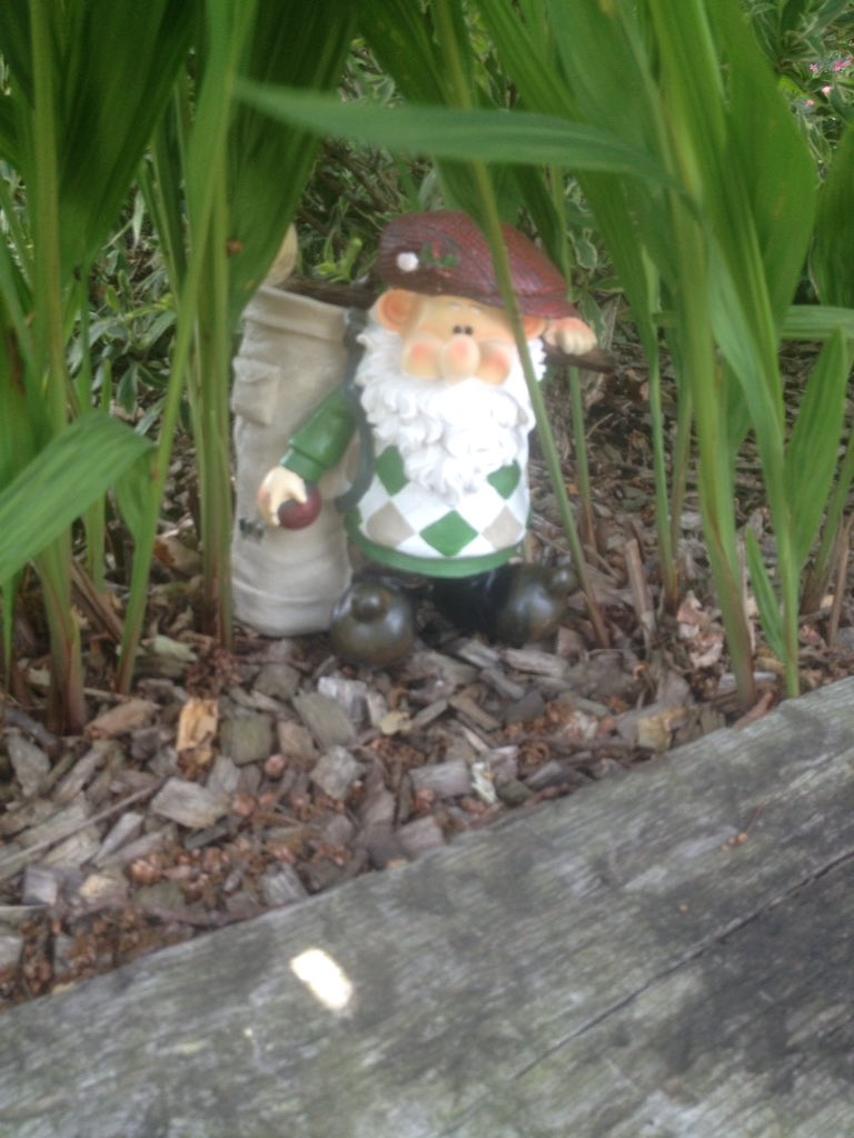 JamesShortGolf's tweet photo. Woodland Wilf has been found @BrickendonGolf near the 7th tee!!! #notmissinganymore #wilf https://t.co/yI1QAFI31Z