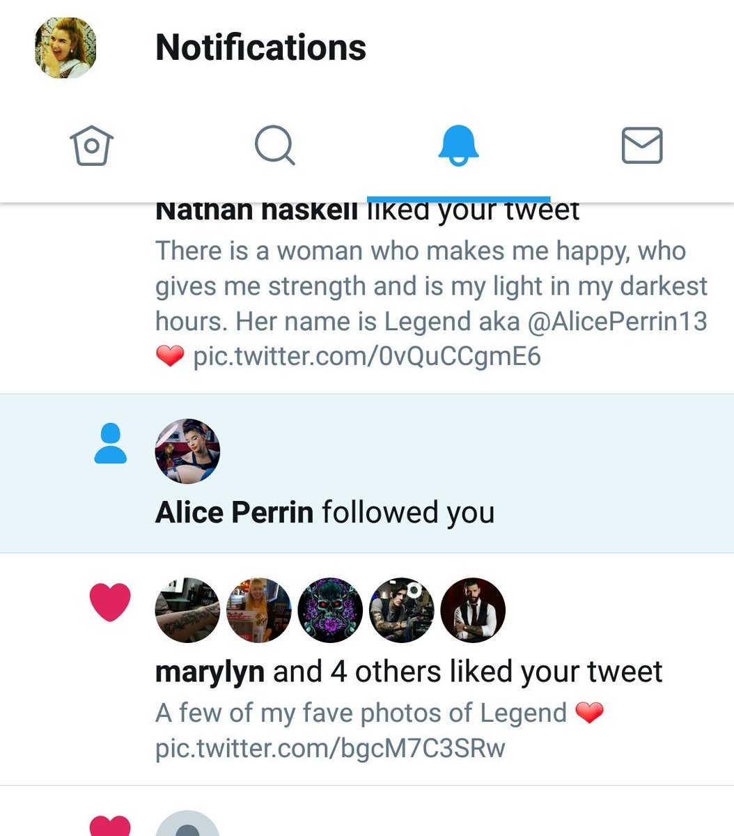 LegendPerrin's tweet photo. Work up to this. Thank you, thank you, thank you @AlicePerrin13 ❤💗 https://t.co/RG9wy30GsE