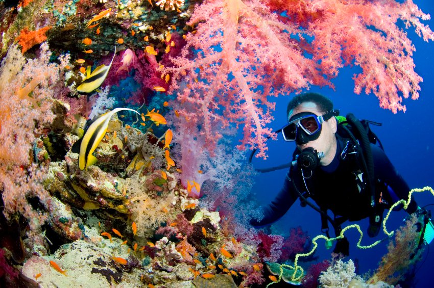 DivetecShop's tweet photo. CMAS 1 YILDIZ DALIŞ KURSU 1 Temmuz' da
Divetecshop' a üye olan katılımcılara Innovasub Dalış maskesi ve Palet HEDİYE #daliskursu #dalış https://t.co/ol4W4FMZ66