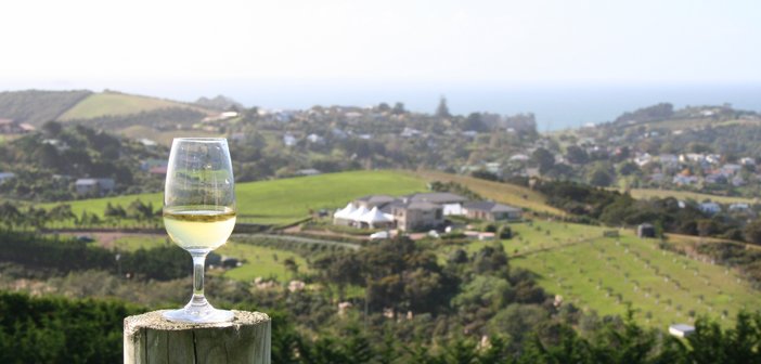iFAVINE's tweet photo. The results of the 2017 Vintage Survey, showed that harvest totalled 396,000 tonnes - down 9% on last year.#iFAVINE #iSommelier #NewZealand https://t.co/5N11ShSqai