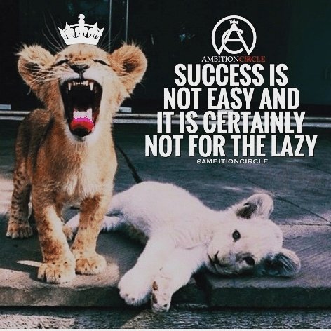 Hateyourjob00's tweet photo. #successisnoteasy #taketherisk https://t.co/NRy3BxWMqG
