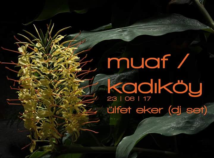 Muaf Kadıköy (@muaf_kadikoy) on Twitter photo 