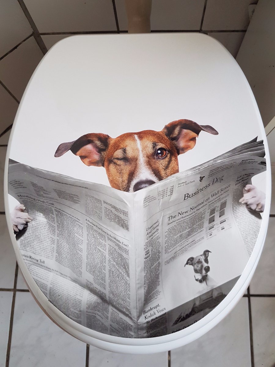 kardis587's tweet photo. Ich durfte für @CalmwatersHome den WC-Sitz "Schlauer Hund" von Living Pool testen.
#calmwaters #livingpool #wcsitz
https://t.co/WcKpnDocCV https://t.co/PyrAL6CprH