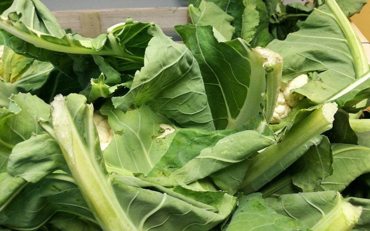 5adayFresh's tweet photo. #runnerbeans #babyrainbowcarrots #primocabbage #cauliflower #freshveg #firstclass #shoplocal #greengrocer #Stalybridge #Cheshire https://t.co/FlvCkZLjzG