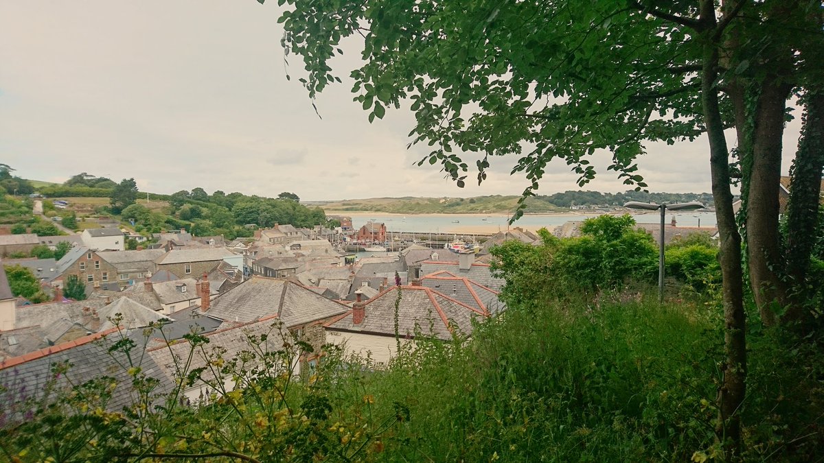 Dinkynia's tweet photo. Padstow from the top. 🌲 🌳 🏖️ ⛵ 🛥️ 🏡 #cornwall https://t.co/aX90gLeyED