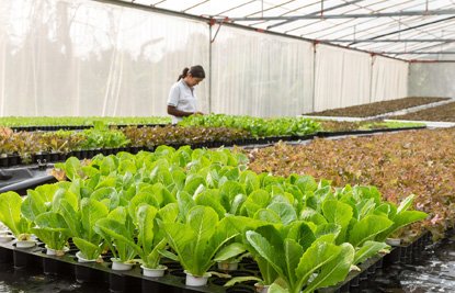 AutoGas_GLP's tweet photo. Descubre las soluciones que ofrece el #GasdeRepsol para el sector agro https://t.co/VE6336bZL4 #granja #secadero #invernadero #riego https://t.co/Op3N0kJYwq