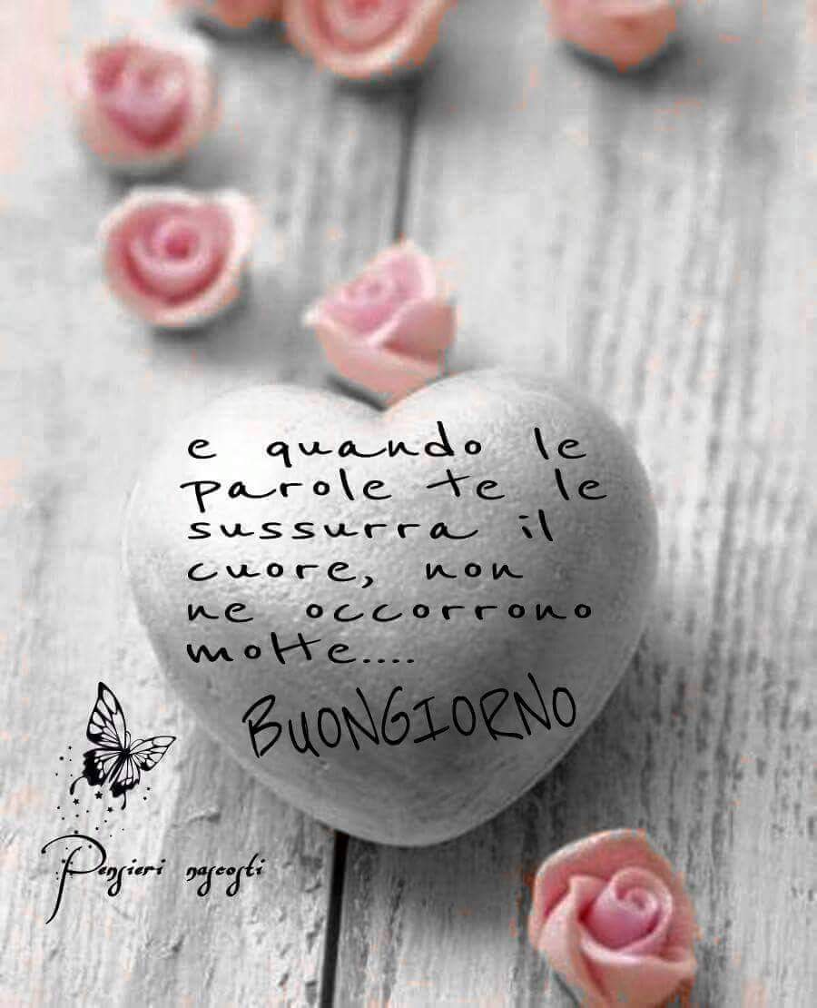 alexa5313's tweet photo. @user9870 @anis_epis @GraziaGio1 @rascka17 @tafudany1 @Volpe6Volpe @AlessandraDVita @fiorenza_tania @esolocolpamiaa Io sono una di quelle. 💋❤️🥀
Bacione e felice venerdì a te e tutte. 💋❤️🥀 https://t.co/VsKuVWhnZc