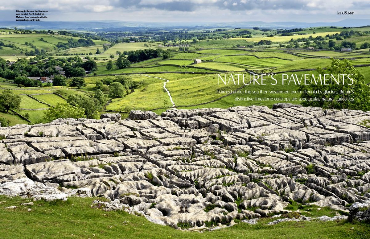 _LandScapemag's tweet photo. Thanks to Robert Harvey for a great feature about limestone paving, which is in our current issue - on sale now. #fabfridayfeature https://t.co/oISYA2lZDP