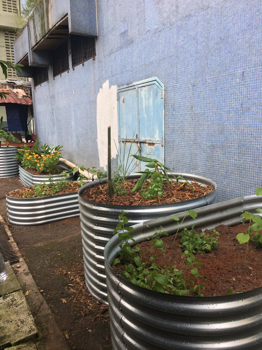 jp_goes_places's tweet photo. Former rubbish dump & drug haunt. Here's hoping our Grow Tongs by H will bring the migrants & locals closer. #mythinkcity #urbanexperiment https://t.co/sFg6adxaCf
