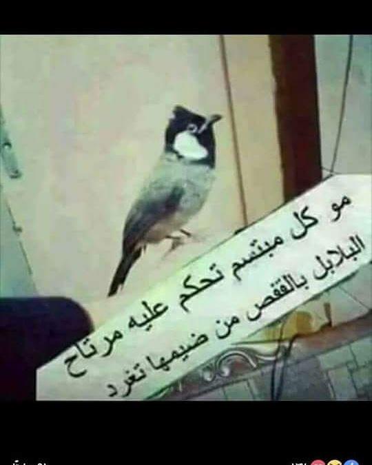 montzsr (@expecteb2901) on Twitter photo 