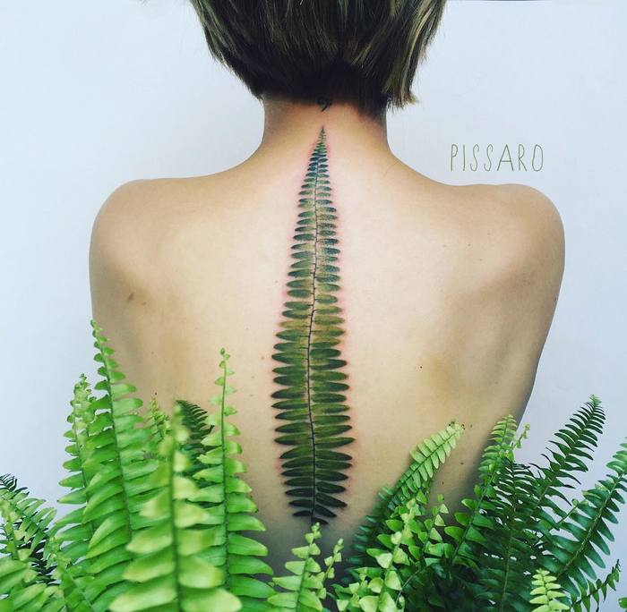 8 Fern Tattoo Meanings Symbolism and Ideas
