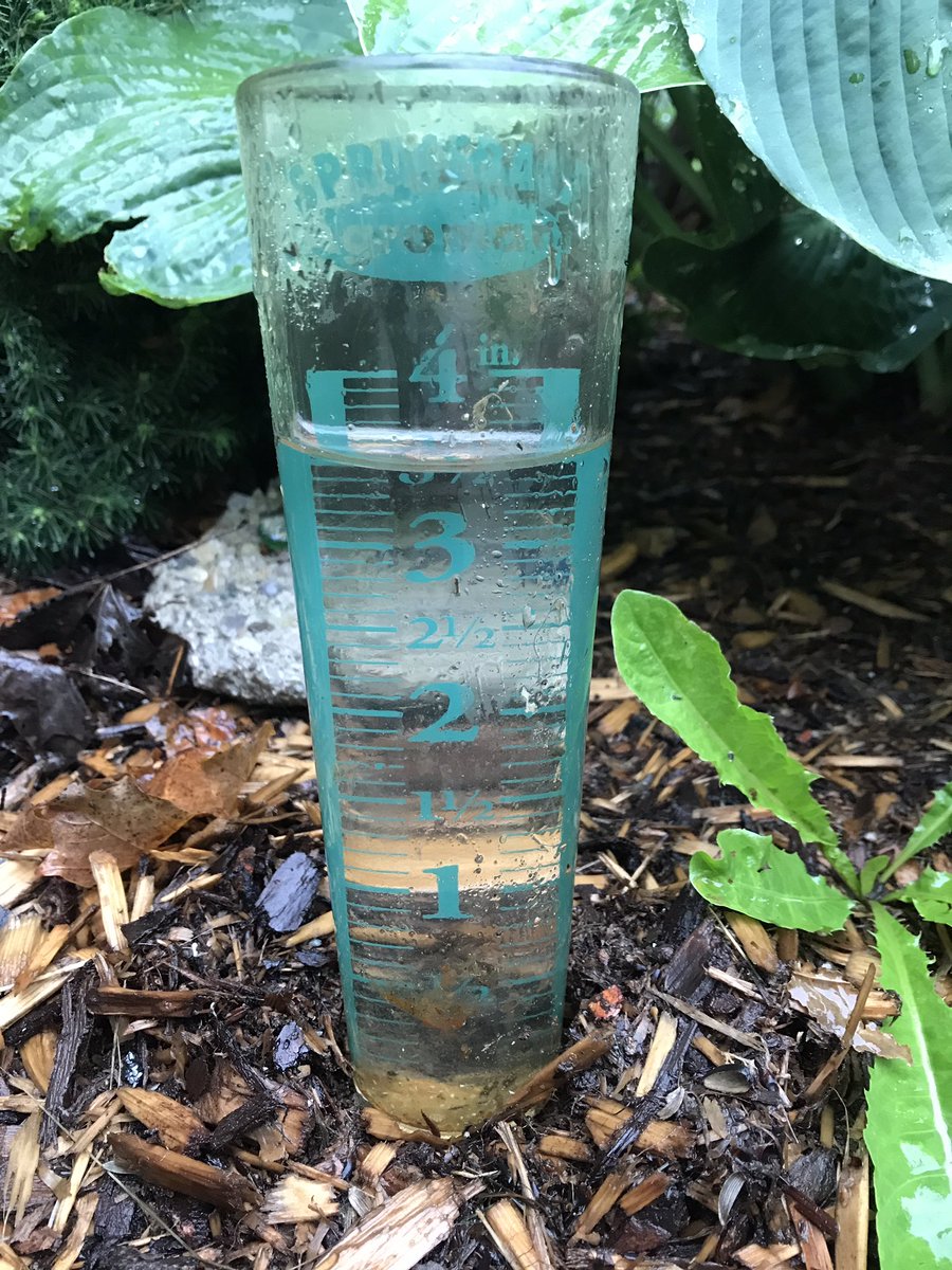 Simon Gladwell tweet media