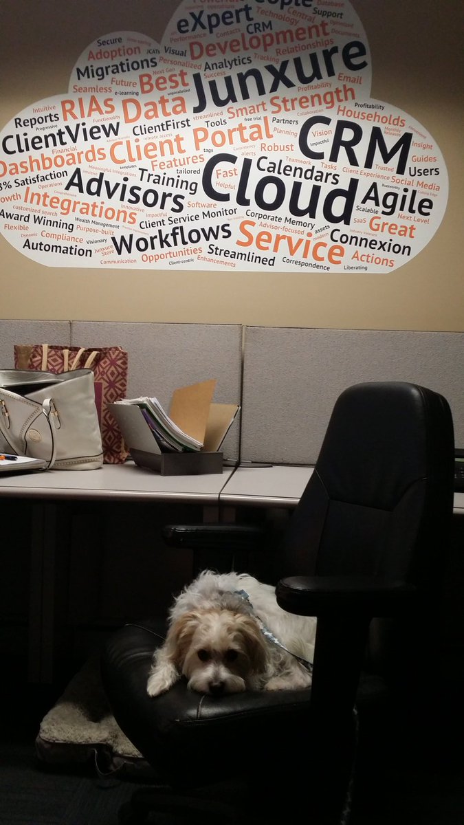 Jdelory's tweet image. #Junxure CRM #NationalTakeYourDogToWorkDay