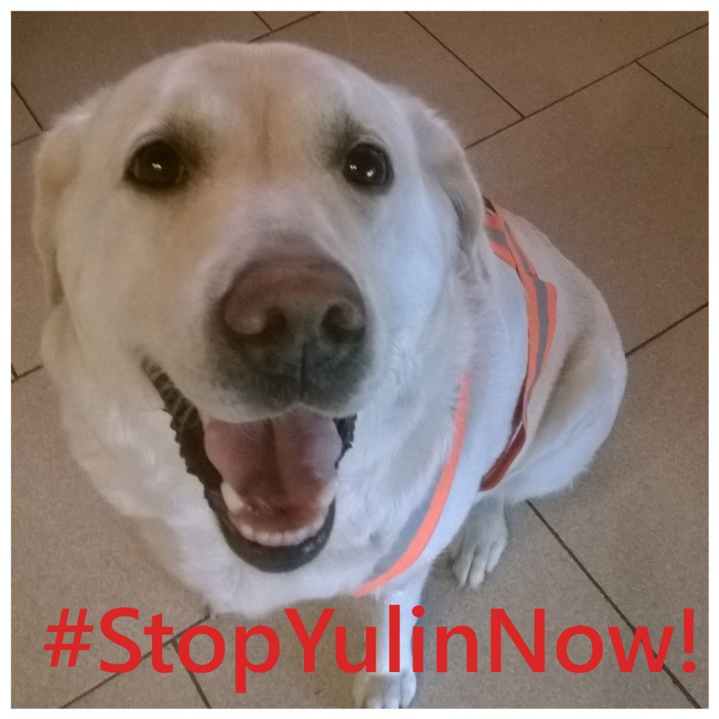 maelmale's tweet photo. #StopYulinNow!!! #DogsAreNotMeat!!! Dog➡ family 🐾 #FuckChina you are shame of the world!!! https://t.co/BMhQZHTCcz