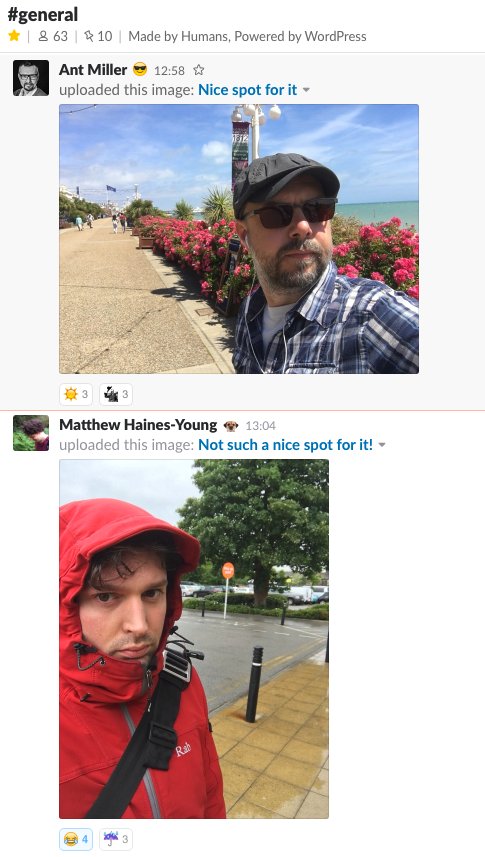 meeware tweet media