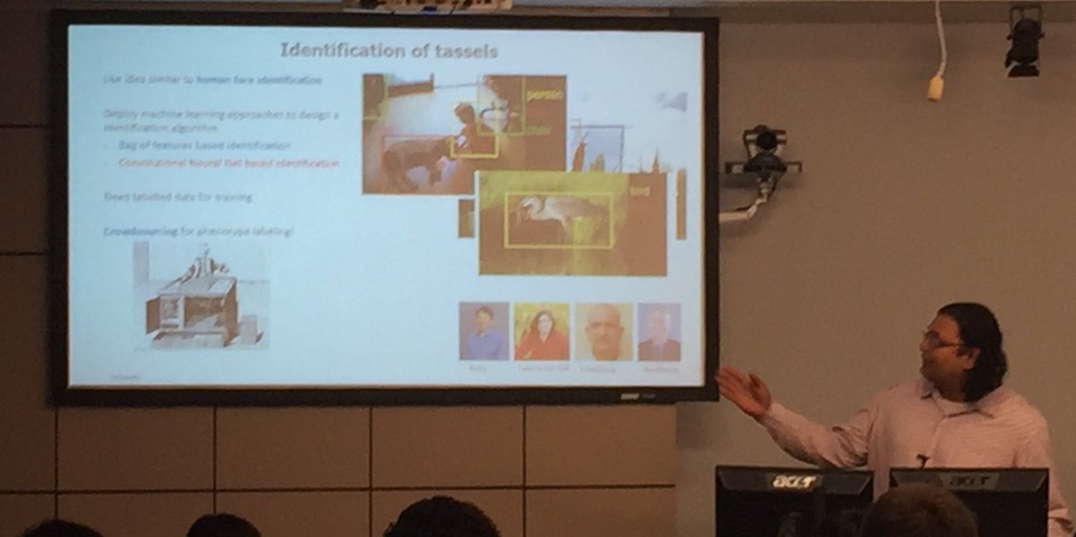 AmaizingAg's tweet photo. Baskar Ganapathysubramanian describes crowdsourcing tassel idenfication for #PlantPhenomicsPhridays #MBDH #DigitalAgriculture #ISU_PSI https://t.co/5Hiqc6Hbbx