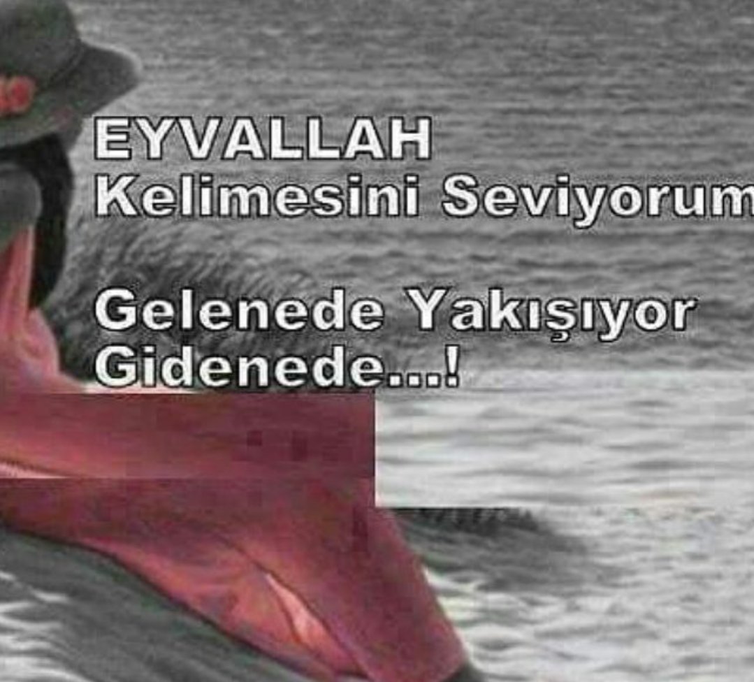 birsentuluk's tweet photo. # https://t.co/yqykyVcOJq