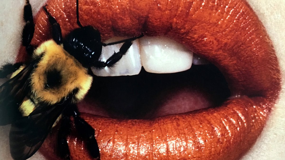 CaesarRuben1999's tweet photo. Bee on Lips - Irving Penn 1995 New York September 22. #irvingpenn #beework #lipslove https://t.co/nNmI4vM1Qg
